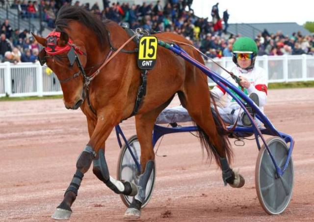 HIDALGO DES NOÉS le gagnant du Trophée Vert 2025