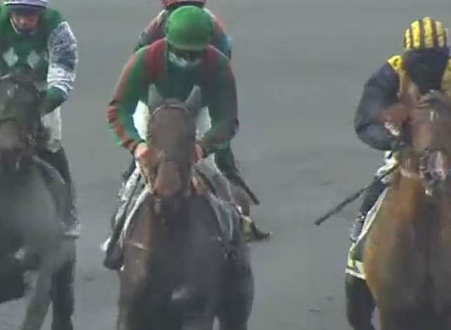 HIRONDELLE DU RIB (Jean-Loic-Claude DERSOIR) vainqueur du Prix Émile Riotteau 2022 à Vincennes se qualifie pour le Prix de Cornulier 2022