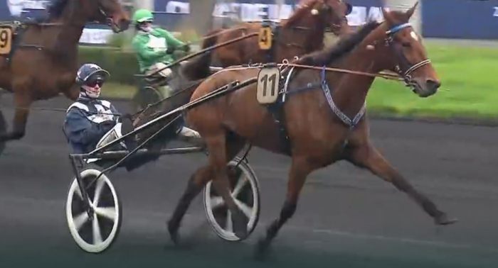 HISTOIRE PHILS drivée par Florian Desmigneux Vainqueur du quinté+ du jour sur l'hippodrome de Paris Vincennes