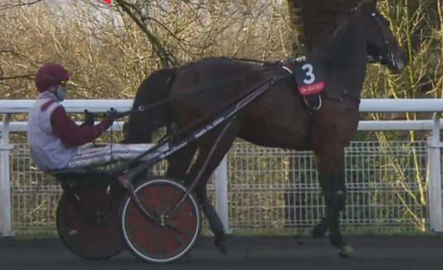 HOHNECK drivé par François LAGADEUC gagnant du Critérium Continental 2021 à Vincennes