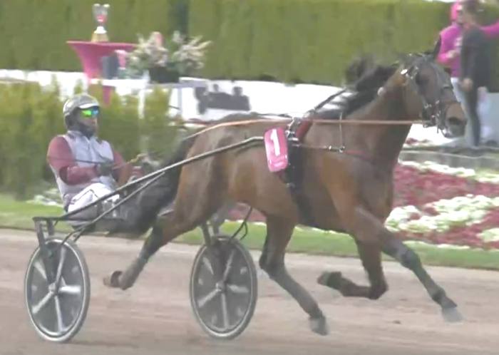 HOHNECK (Gabriele GELORMINI) vainqueur de l'ELITLOPPET 2023 à Solvalla en Suède peu avant le poteau d'arrivée