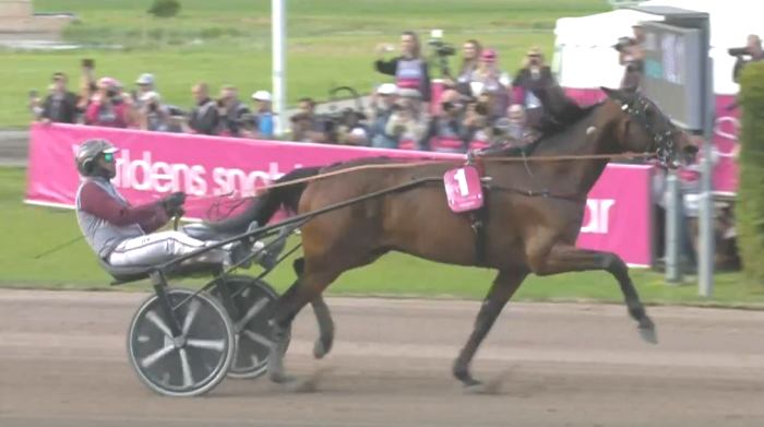 HOHNECK (Gabriele GELORMINI) vainqueur de l'ELITLOPPET 2023 à Solvalla en Suède