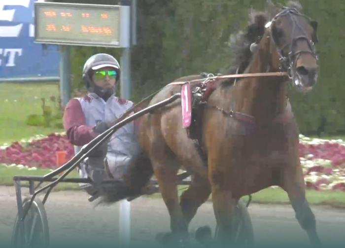 HOHNECK (Gabriele GELORMINI) vainqueur de l'ELITLOPPET 2023