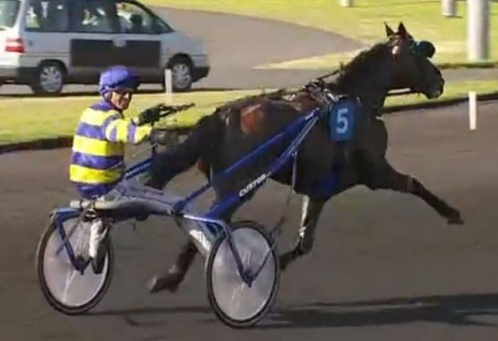 HOKKAIDO JIEL drivé par David THOMAIN gagnant du PRIX RENÉ BALLIÈRE 2023 à Vincennes