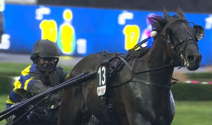 PRIX D'AM&Eacute;RIQUE 2026 et la victoire d'HOKKAIDO JIEL driv&eacute; par Franck NIVARD sur l'hippodrome de Paris Vincennes