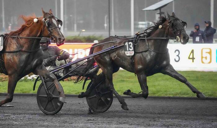 PRIX D'AM&Eacute;RIQUE 2026 et la victoire d'HOKKAIDO JIEL driv&eacute; par Franck NIVARD sur l'hippodrome de Paris Vincennes