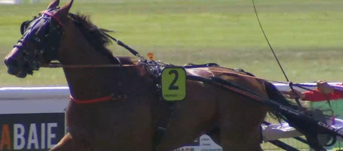 HOLERO LOVE drivé par Romain HUE vainqueur de la Finale du Trophée Vert 2023 à Craon