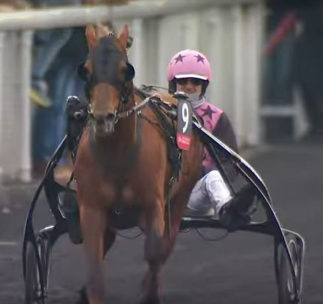 PRIX D'AMÉRIQUE 2023 et la victoire d'HOOKER BERRY drivé par Jean-Michel BAZIRE sur l'hippodrome de Paris Vincennes