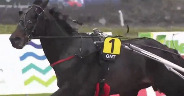 4ème étape du Grand National du Trot 2023 et la victoire d'HORACE DU GOUTIER drivé par Hugues MONTHULE sur l'hippodrome de Saint-Brieuc