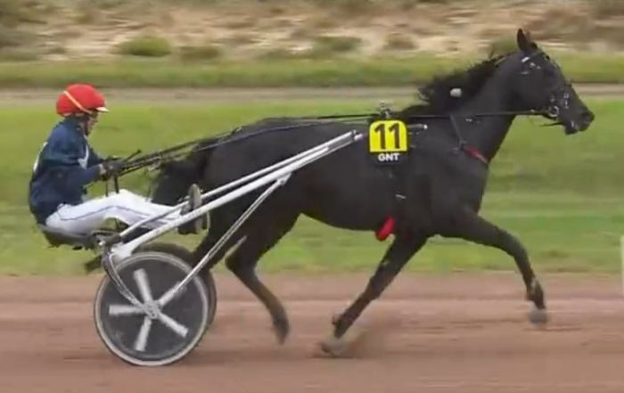 7ème étape du Grand National du Trot 2023 et la victoire d'HORACE DU GOUTIER drivé par Hugues MONTHULE sur l'hippodrome de Langon Libourne