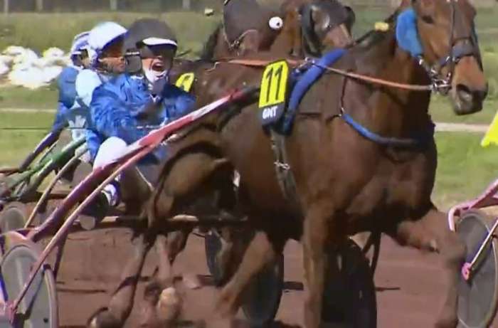 2ème étape du Grand National du Trot 2024 et la victoire d'HORCHESTRO drivé par David BEKAERT sur l'hippodrome de Marseille Borély