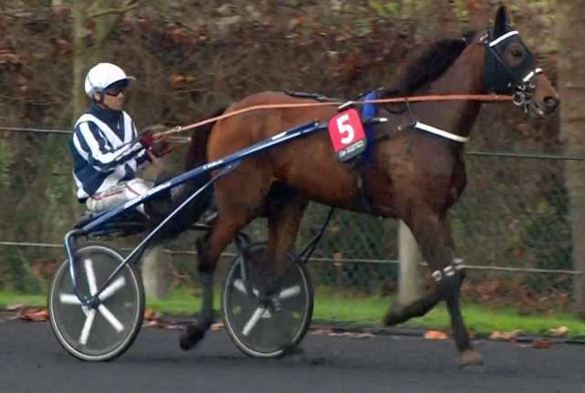 PRIX TÉNOR DE BAUNE 2022 et la victoire de HORSY DREAM drivé par Eric RAFFIN