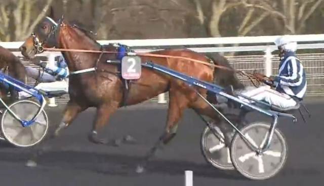 PRIX DE BELGIQUE 2023 et la victoire de HORSY DREAM drivé par Eric RAFFIN sur l'hippodrome de Paris Vincennes