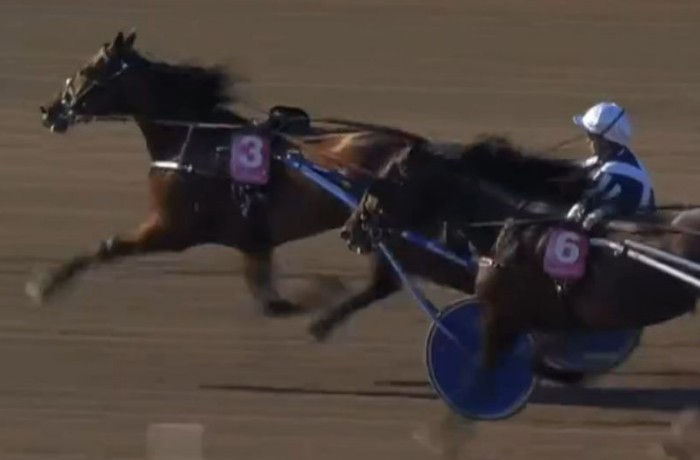 HORSY DREAM (Eric RAFFIN) vainqueur de l'ELITLOPPET 2024 à Solvalla en Suède