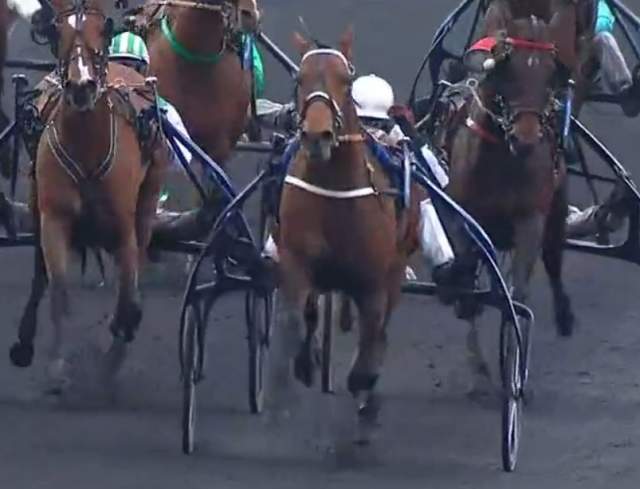 PRIX DE SÉELECTION 2023 et la victoire d'HORSY DREAM drivé par Eric RAFFIN sur l'hippodrome de Paris Vincennes