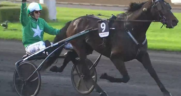 PRIX DE BRETAGNE 2023 et la victoire d'HUSSARD DU LANDRET drivé par Benoît ROBIN