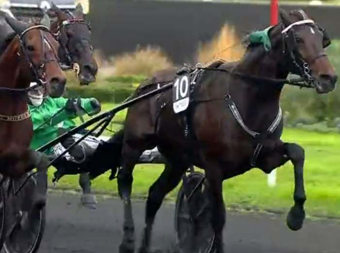 PRIX DE BRETAGNE 2024 et la victoire d'HUSSARD DU LANDRET drivé par Yoann LEBOURGEOIS