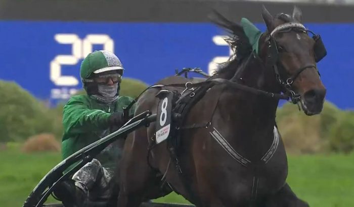 PRIX DE PARIS 2024 et la victoire d'HUSSARD DU LANDRET drivé par Yoann LEBOURGEOIS sur l'hippodrome de Paris Vincennes