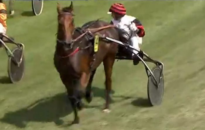 HYMNE DU GERS drivé par Jean-Michel BAZIRE vainqueur de la 10ème étape du Trophée Vert 2024 sur l'hippodrome de Royan La Palmyre