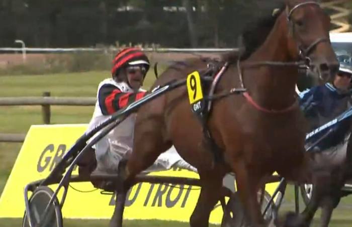 9ème étape du Grand National du Trot 2024 et la victoire d'HYMNE DU GERS drivé par Jean-Michel BAZIRE sur l'hippodrome du Mans