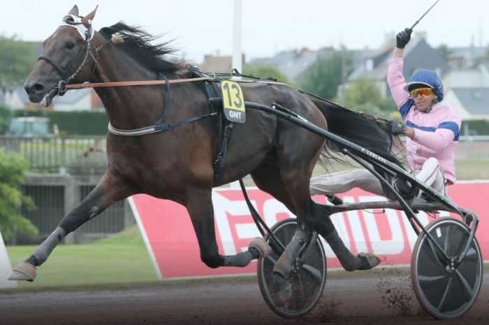 8ème étape du Grand National du Trot 2024 et la victoire d'IBIKI DE HOUELLE drivé par Eric RAFFIN sur l'hippodrome de Saint-Malo