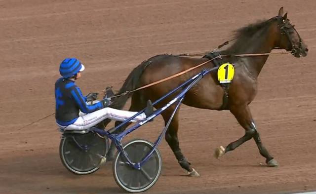 IDAO DE TILLARD (Clément DUVALDESTIN) vainqueur du Grand Prix du Sud-Ouest 2022 (45ème) à Bordeaux-Le-Bouscat