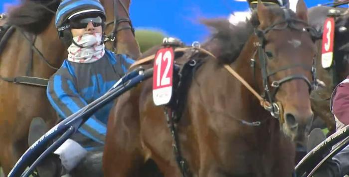 PRIX TÉNOR DE BAUNE 2023 et la victoire d'IDAO DE TILLARD drivé par Clément DUVALDESTIN