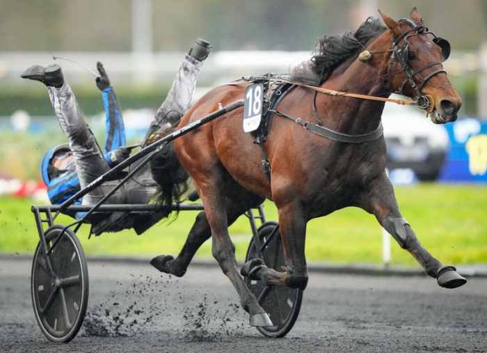 PRIX D'AMÉRIQUE 2025 et la victoire d'IDAO DE TILLARD drivé par Clément DUVALDESTIN sur l'hippodrome de Paris Vincennes