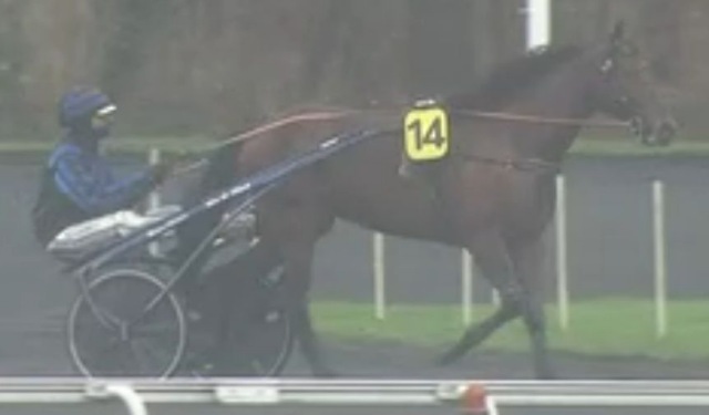 PRIX DE CROIX 2023 et la victoire d'IDAO DE TILLARD drivé par Clément DUVALDESTIN sur l'hippodrome de Paris Vincennes