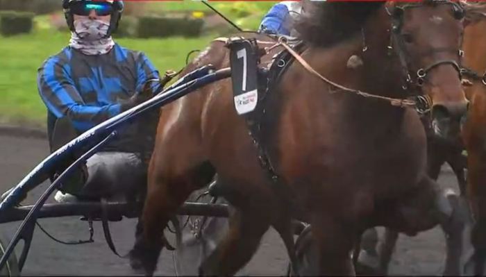 PRIX DE FRANCE 2024 et la victoire d'IDAO DE TILLARD drivé par Clément DUVALDESTIN sur l'hippodrome de Paris Vincennes