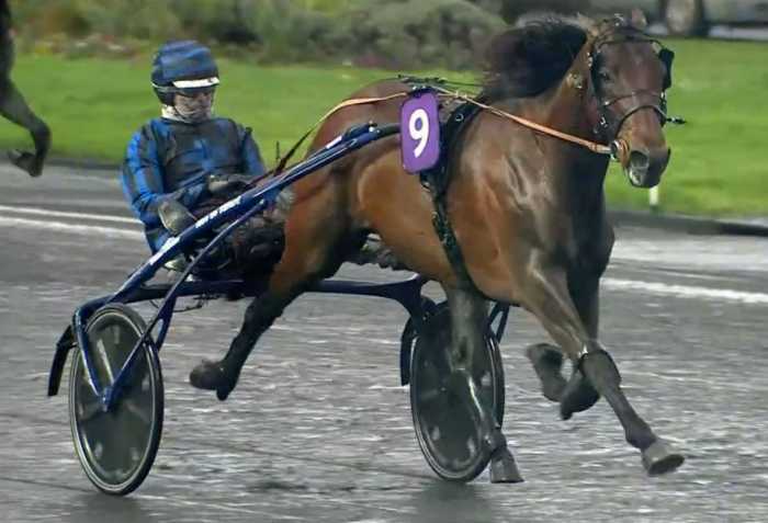PRIX DE SÉELECTION 2024 et la victoire d'IDAO DE TILLARD drivé par Clément DUVALDESTIN sur l'hippodrome de Paris Vincennes