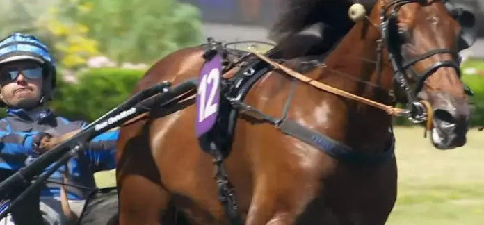 Idao de Tillard drivé par Clément Duvaldestin vainqueur du Prix René Ballière 2026 à Vincennes