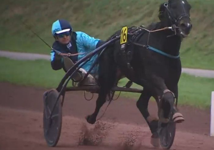 12ème étape du Grand National du Trot 2024 et la victoire d'IDEAL LIGNERIES drivé par Jean-Philippe MONCLIN sur l'hippodrome de Nantes