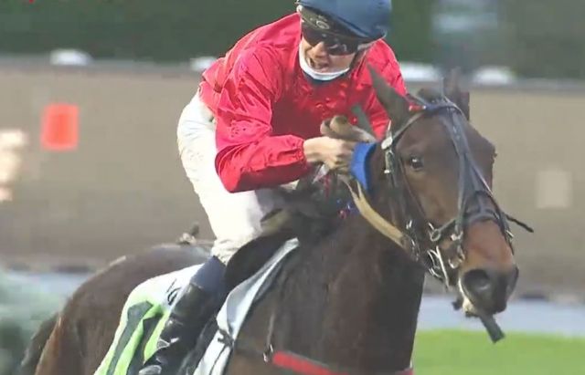 IDEALE DU CHÊNE monté par Paul-Philippe PLOQUIN gagnant du Prix de Vincennes 2021 à Vincennes