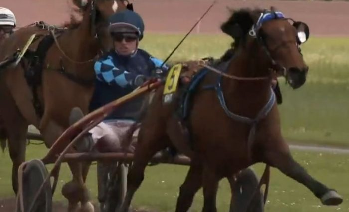 4ème étape du Grand National du Trot 2024 et la victoire d'IGREC DE CELLAND drivé par David THOMAIN sur l'hippodrome de Cordemais
