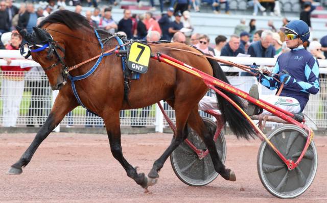 IGREC DE CELLAND, le gagnant du Grand National du Trot 2024