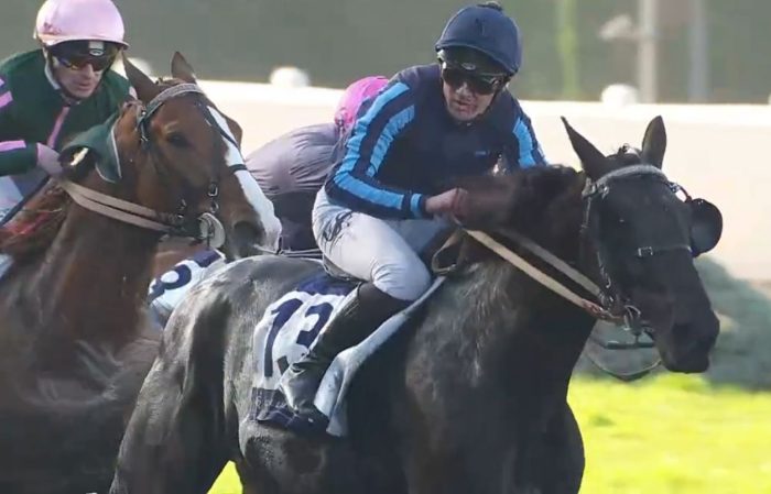 IGUSKI SAUTONNE mont&eacute; par Alexandre ABRIVARD gagnant du PRIX DE CORNULIER 2026 sur l'hippodrome de Paris-Vincennes