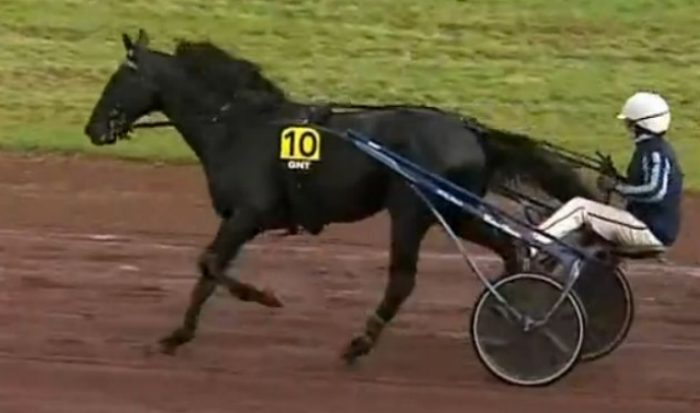 11ème étape du Grand National du Trot 2024 et la victoire d'IGUSKI SAUTONNE drivé par Matthieu ABRIVARD sur l'hippodrome de Saint-Galmier