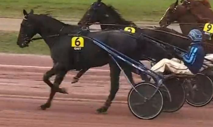 13ème étape du Grand National du Trot 2024 et la victoire d'IGUSKI SAUTONNE drivé par Matthieu ABRIVARD sur l'hippodrome de Toulouse La Cépière