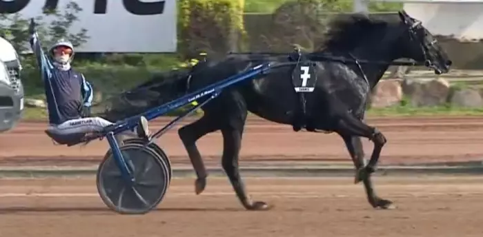 GRAND CRITÉRIUM DE VITESSE DE LA CÔTE-D'AZUR 2026 et la victoire d'IGUSKI SAUTONNE drivé par Matthieu ABRIVARD sur l'hippodrome de Cagnes-Sur-Mer