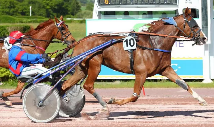 Indien de Fontaine favori du quinté du jour à Cordemais - Prix de la Commune de Cordemais - Prix des Camélias