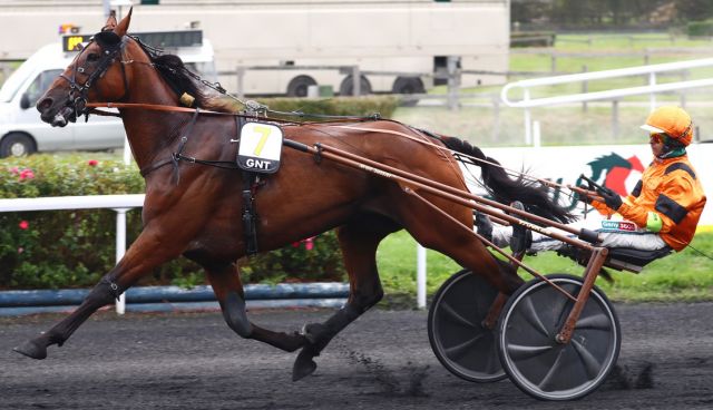 INDY DE JYR, le gagnant du Grand National du Trot 2025