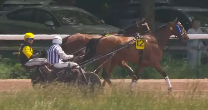 PRIX DES DUCS DE NORMANDIE 2026 et la victoire d'INEXESS BLEU drivé par Alexandre ABRIVARD sur l'hippodrome de la Prairie à Caen