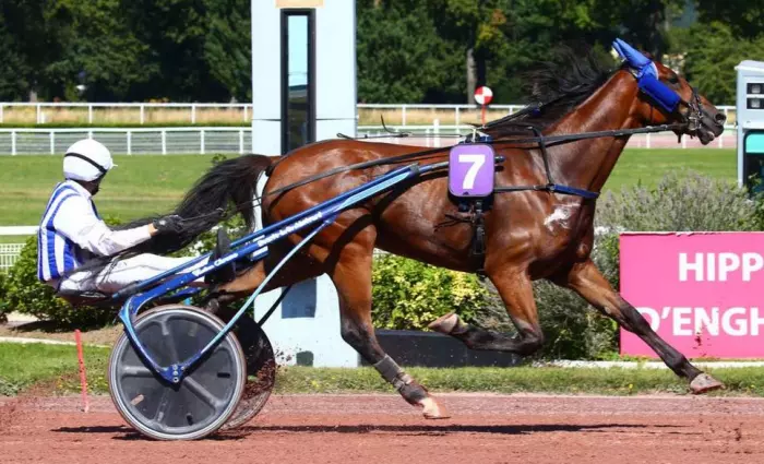 INEXESS BLEU le favori du quinté + du jour à Vincennes - Prix Kerjacques 2026
