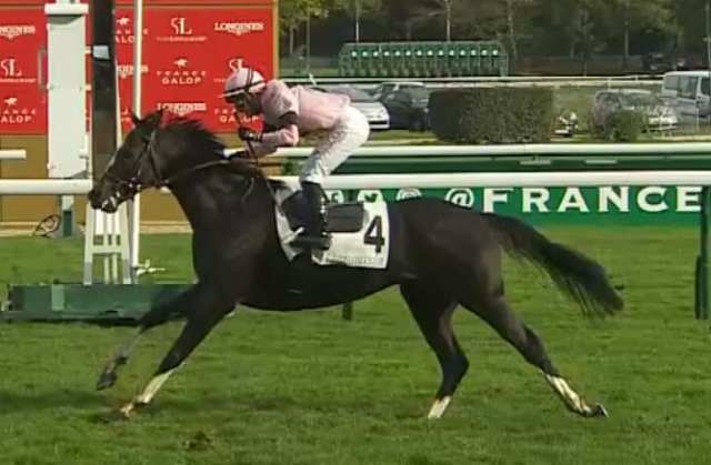 IRESINE (Mlle Marie VELON) gagnant du PRIX ROYAL-OAK 2022 sur l'hippodrome de Longchamp