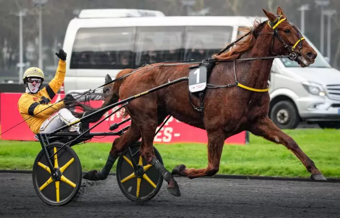 Iroise de la Noé favori du quinté du jour à Enghien - Prix de l'Atlantique 2026 (GI)