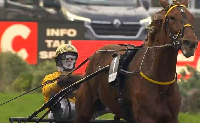 PRIX DE BELGIQUE 2025 et la victoire d'IROISE DE LA NOÉ drivé par Thomas LEVESQUE