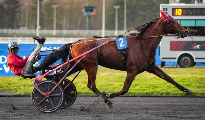 Isofou du Chêne, Favori du quinté+ du jour à Vincennes 