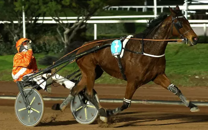 Ister Man favori du quinté du jour à Lyon Parilly - 3ème étape du Grand National du Trot 2026