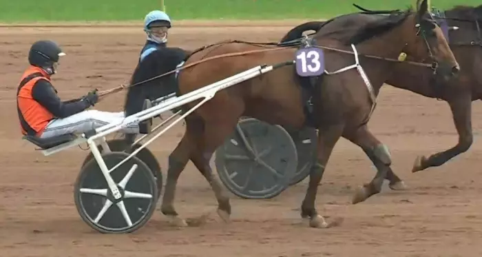 ISTORIC MAUZUN (Jean-Philippe Ducher) Vainqueur du quinté du jour à Vichy